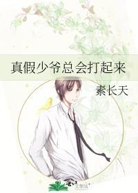 真假少爷总会打起来的TXT