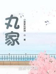 丸家txt