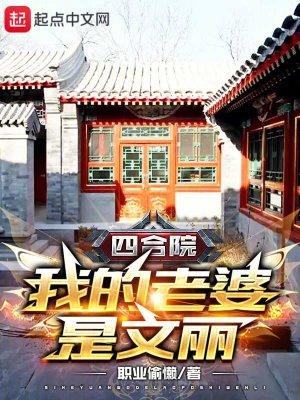 四合院我的老婆是文丽何雨