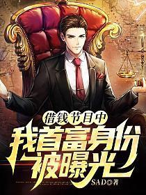 我首富身份被曝光TXT免费