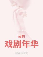 我的戏剧年华txt无错版