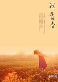 致青春电影刘亦菲