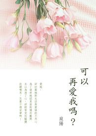 能不能再爱我一次番外