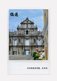 偶遇和遇见的意思一样吗