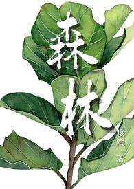 森林包装股吧