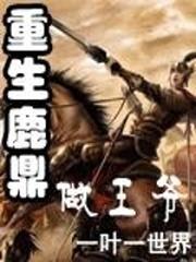 将军与寡妇